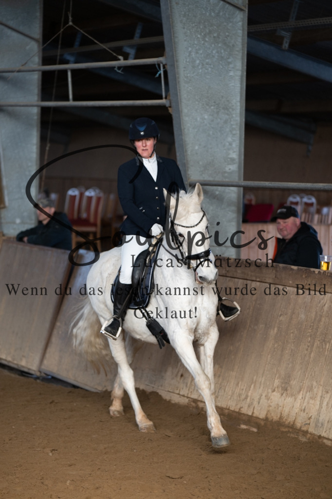 A7V05491 | Pferdefotograf