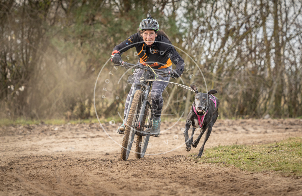 Pfotenfotografie_DV3A7786 | Hundefotografie, Tierfotograf, Pfotenfotografie, Fotoshooting Hund, Hunde Portrait, Hundesport, Hundeportraits, Heideshooting, Hunde, Sportfotograf, Hundefotograf, Turnierhundsport, THS,  - Realisiert mit Pictrs.com