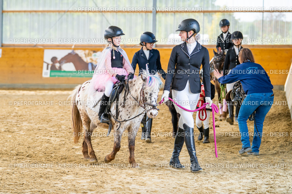 DSC00884 | Pferdegrafie