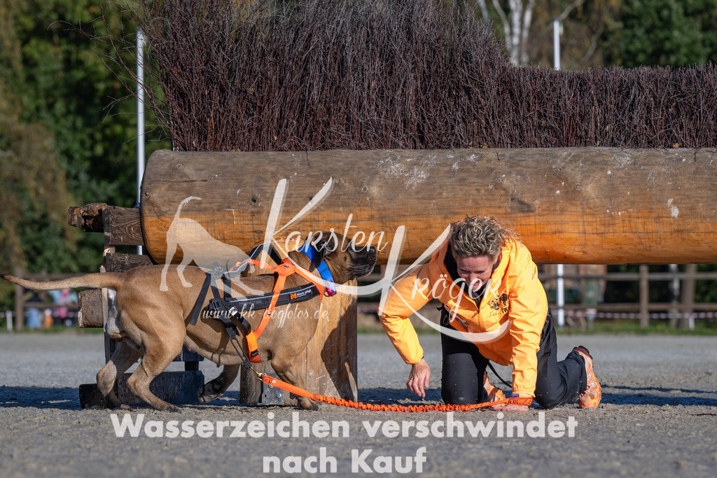 1035-_ZZ91741 | kk-dogfotos
