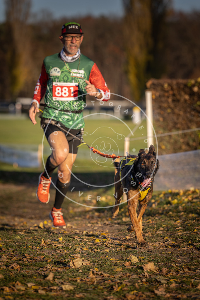 CaniXpix_DV3A4346 | Hundefotografie, Tierfotograf, Pfotenfotografie, Fotoshooting Hund, Hunde Portrait, Hundesport, Hundeportraits, Heideshooting, Hunde, Sportfotograf, Hundefotograf, Turnierhundsport, THS,  - Realisiert mit Pictrs.com