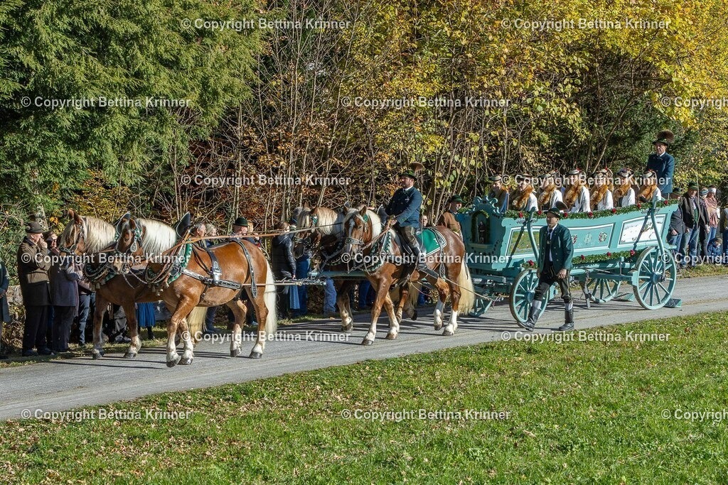 LBT25-473 | foto-bettina-krinner - Realisiert mit Pictrs.com