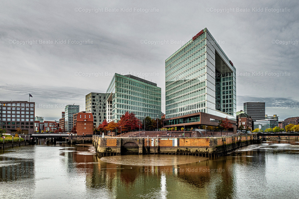 P2040157 | beatekidd-fotografie - Realisiert mit Pictrs.com