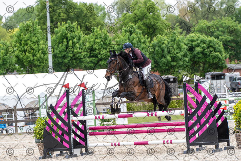 KPT_8632 | andre_photographic