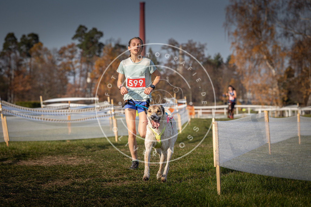 CaniXpix_0L8A0032 | Hundefotografie, Tierfotograf, Pfotenfotografie, Fotoshooting Hund, Hunde Portrait, Hundesport, Hundeportraits, Heideshooting, Hunde, Sportfotograf, Hundefotograf, Turnierhundsport, THS,  - Realisiert mit Pictrs.com