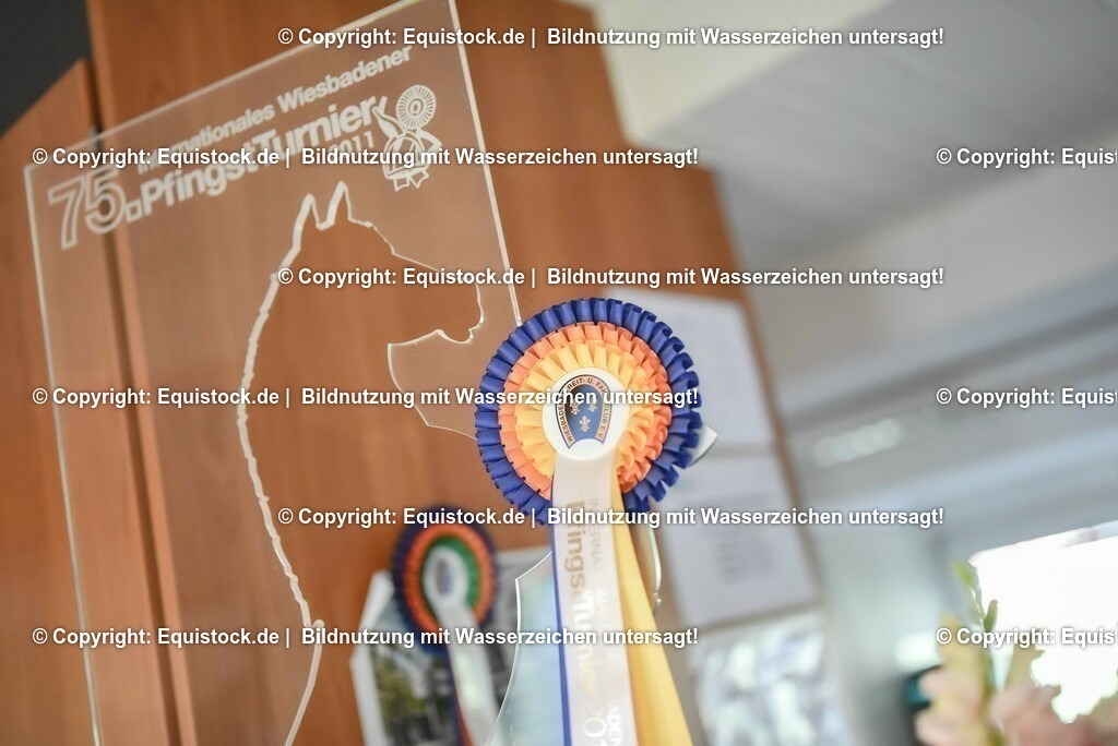 20230526_Impressionen_0290 | equistock