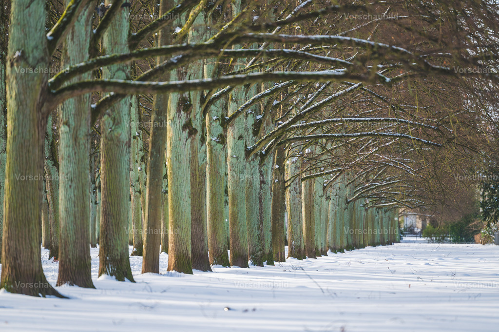 Celle im Schnee | Stadtlandschaften, sowie Makro-, Landschafts-, Natur- und Schwarzweißfotos aus der Region Celle &amp; Umgebung