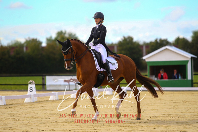 DKP44375 | Turniersportfotografie; Pferdefotografie; Dressurfotografie