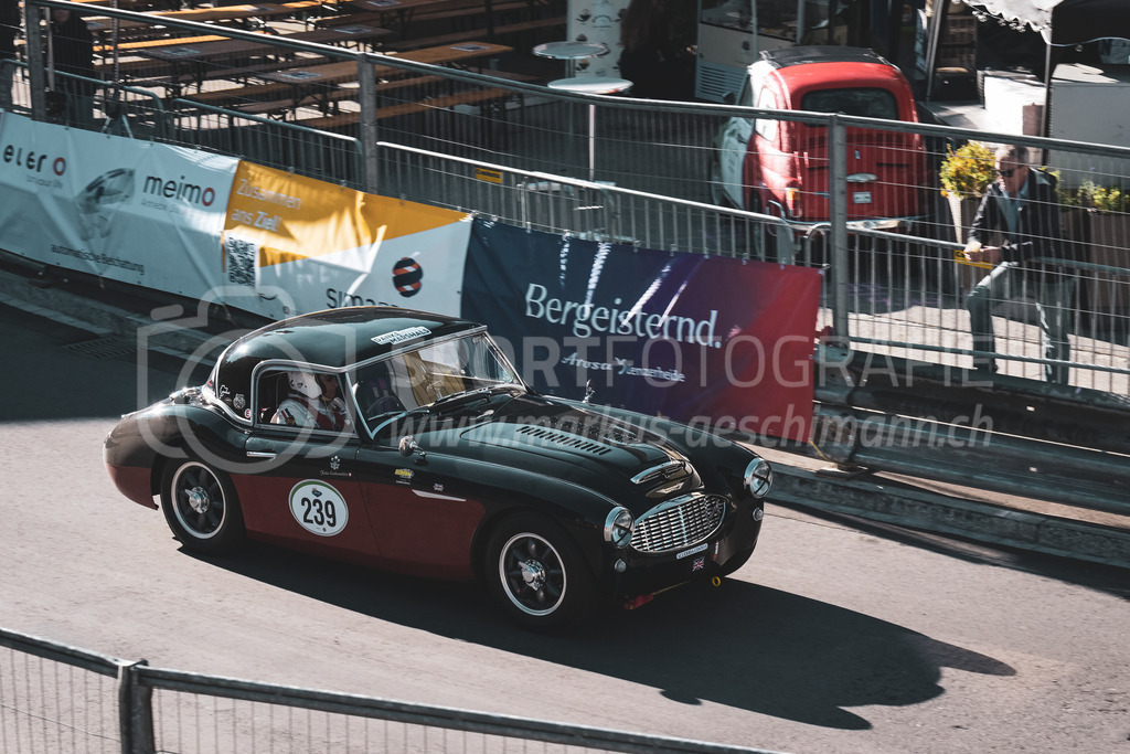 21. Arosa ClassicCar 2025 - 6. =September= 2025 | Felix Lindenmueller aus Meilen (SUI) in einem Austin Healey 3000 MK1 BT7 aus dem Jahre 1959 mit Startnummer 239 am Arosa ClassicCar 2025 in der Kategorie Classic Trophy..@arosaclassiccar, @arosa.official, #arosaclassiccar, #arosa, #76curves, #classiccarBild: Sportfotografie Markus Aeschimann | www.markus-aeschimann.ch - Realisiert mit Pictrs.com