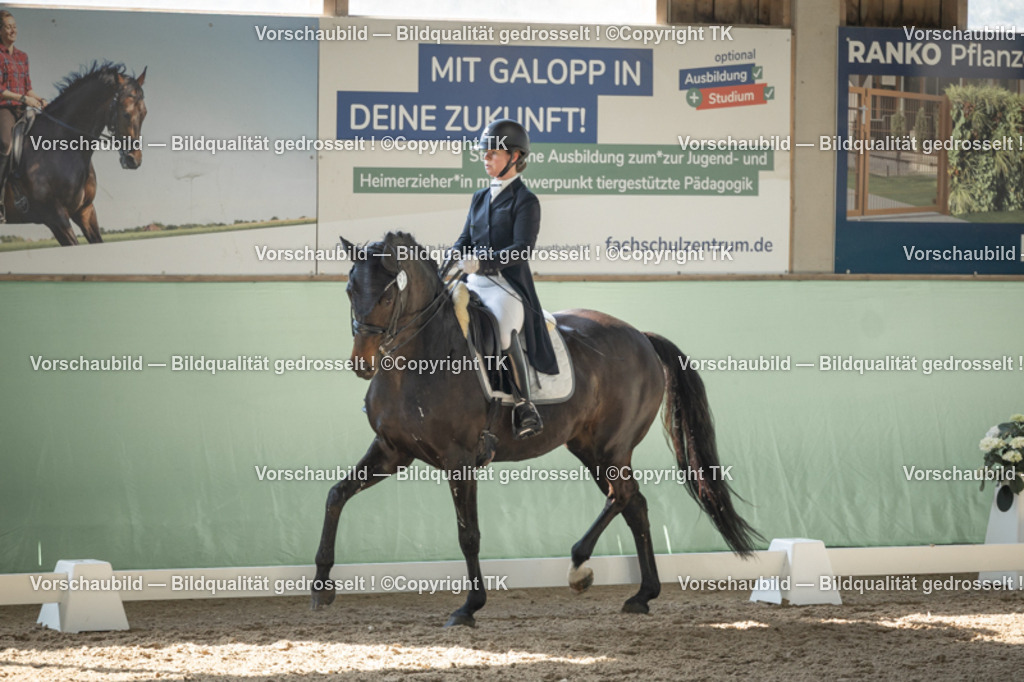 _D5A1043 | Emotionale Pferde- & People-Fotografie rund um Heidelberg, Leimen & Umgebung. Natürliche Fotos von Pferd, Mensch & Familie. Jetzt Termin sichern!