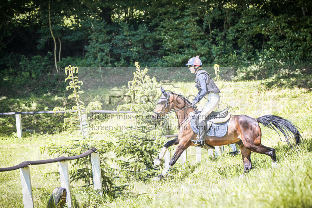 DOS_2584 | Entdecke hochwertige Reitturnierfotos von Foto Oger. Professionell, emotional und authentisch – jetzt Lieblingsmomente im Shop bestellen.Deutschlandweite Turnierfotografie. - Realisiert mit Pictrs.com