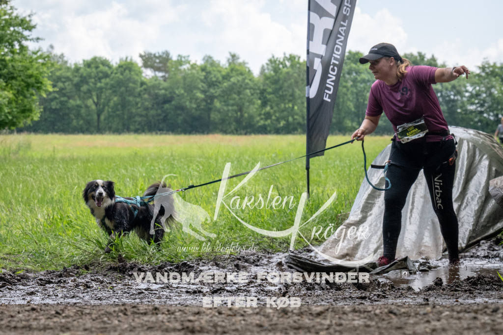 1126_ZZ92876 | kk-dogfotos