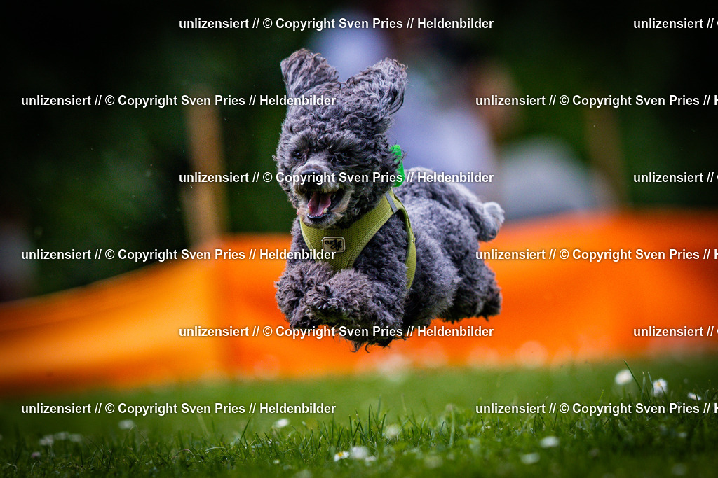 Sven Pries | 2025-05-29 - Pudelrennen KA-Durlach - Realisiert mit Pictrs.com