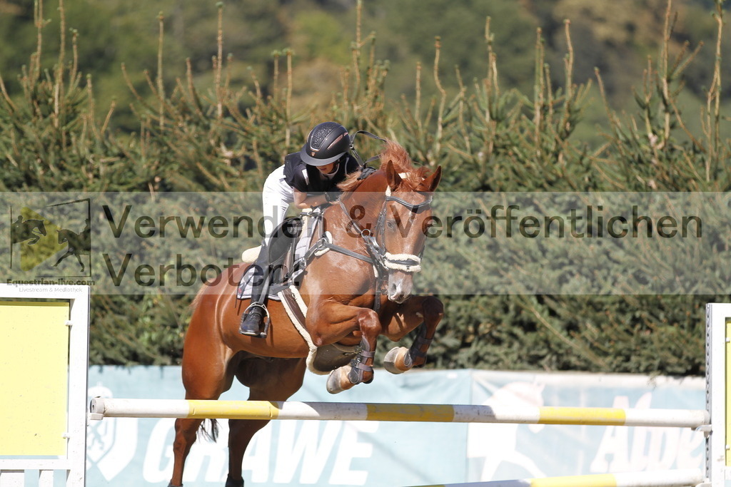 _MG_2716 | equestrian-live-com