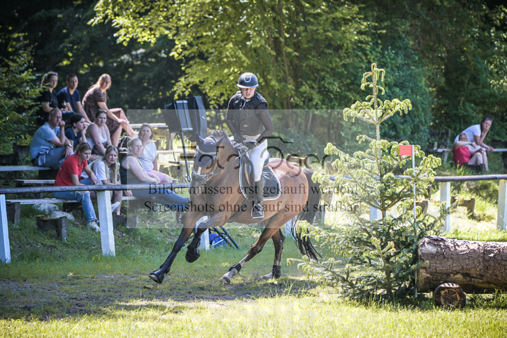 DOS_6717 | Entdecke hochwertige Reitturnierfotos von Foto Oger. Professionell, emotional und authentisch – jetzt Lieblingsmomente im Shop bestellen.Deutschlandweite Turnierfotografie. - Realisiert mit Pictrs.com