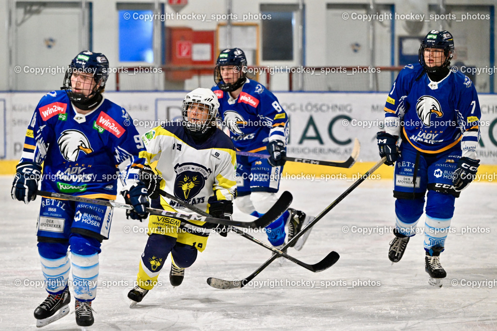 LADY HAWKS vs. WILDCATS PATERNION | #98 Walluschnig Nadine Ramona LADY HAWKS, #19 Knes Julia WILDCATS PATERNION, #8 Pack Lara LADY HAWKS, #7 Fuchs Lena LADY HAWKS, LADY HAWKS vs. WILDCATS PATERNION, LADY HAWKS vs. WILDCATS PATERNION am 12.03.2025 in Steindorf (Ossiachersee Halle), Austria, (Photo by Bernd Stefan)