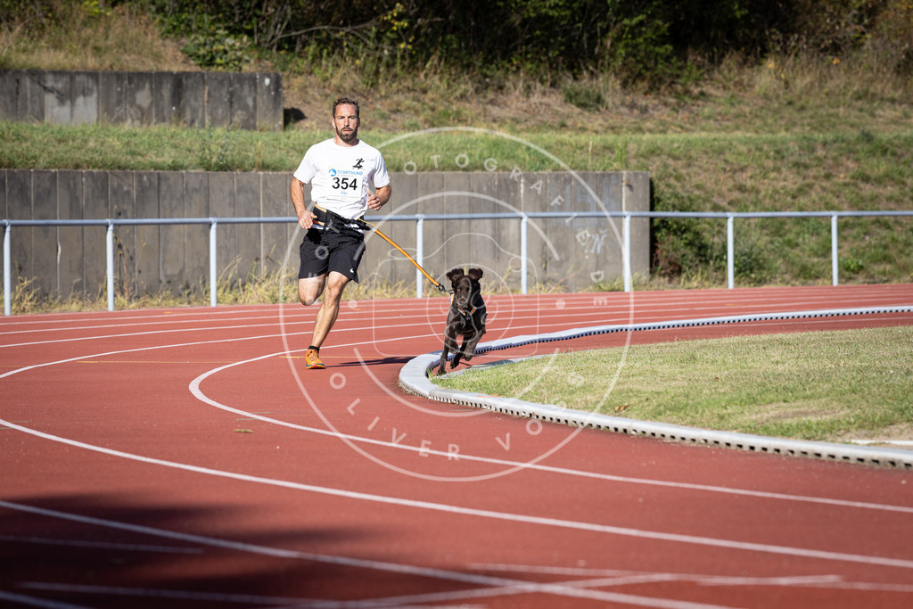 Pfotenfotografie_DV3A9566 | Hundefotografie, Tierfotograf, Pfotenfotografie, Fotoshooting Hund, Hunde Portrait, Hundesport, Hundeportraits, Heideshooting, Hunde, Sportfotograf, Hundefotograf, Turnierhundsport, THS,  - Realisiert mit Pictrs.com