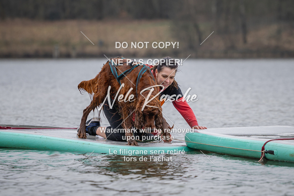 nelerasche_Hulsbeek_Sa1430-1515_513 | nelerasche