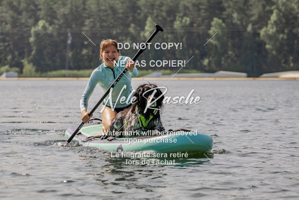 BUHU_SUP_389 | nelerasche