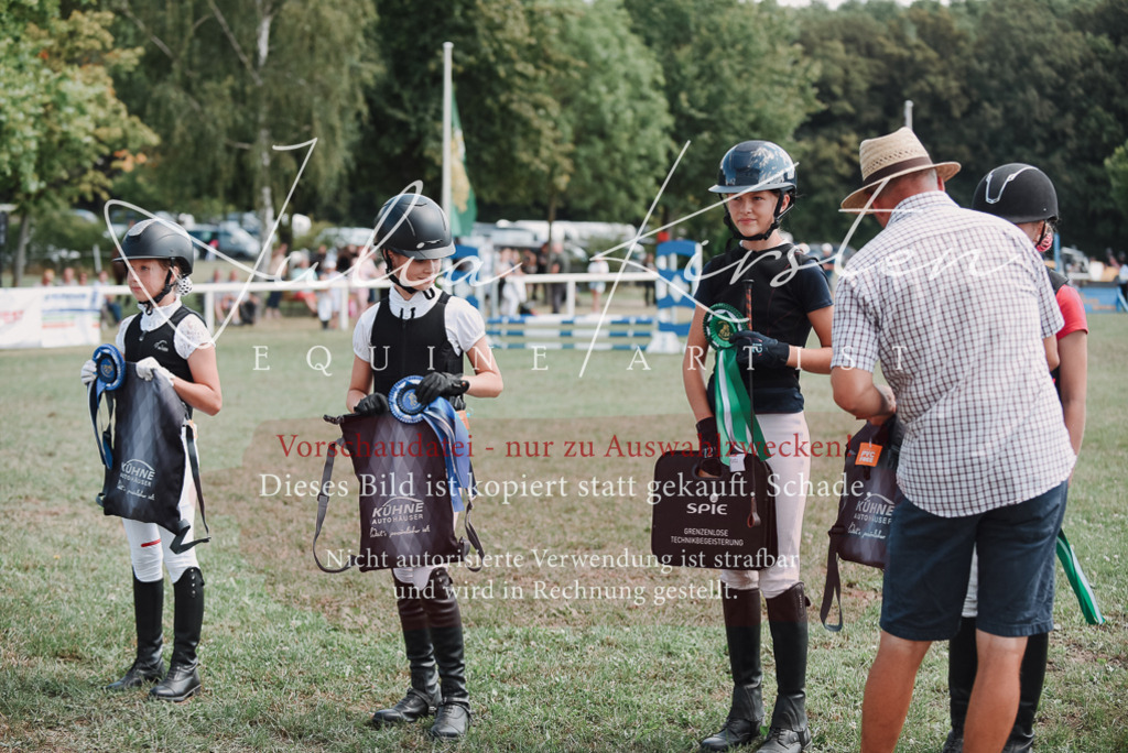 DSC_5905 | Pferde- und Turnierfotografie in Westsachsen. Pferdeportraits, Auftragszeichnungen und intuitive Kunst.