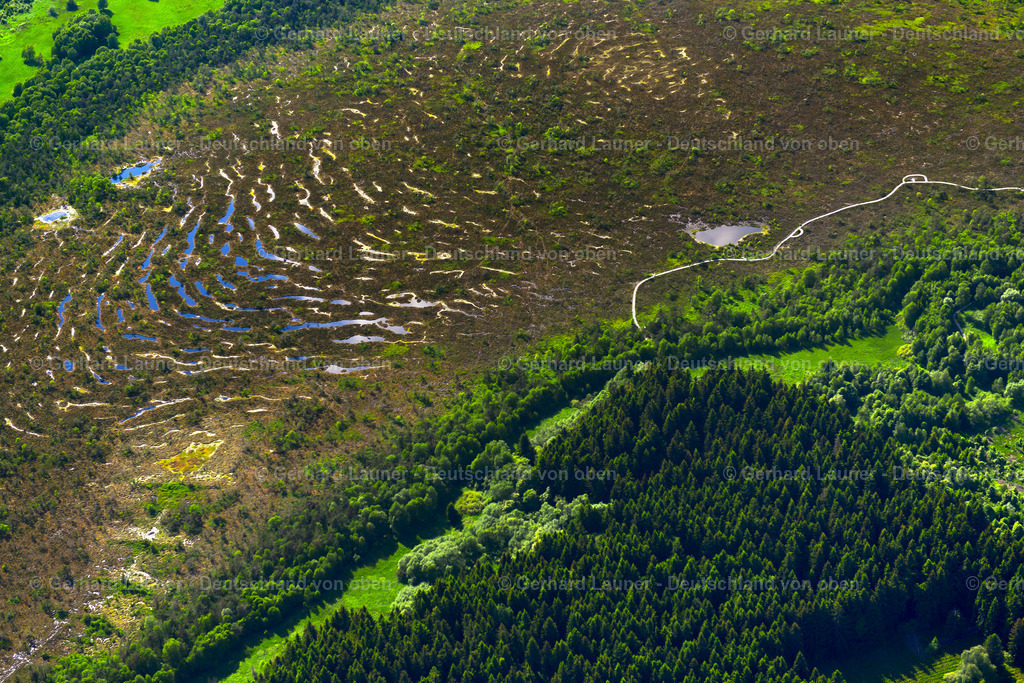 3620095 | Schwarzes Moor, Hochröhn