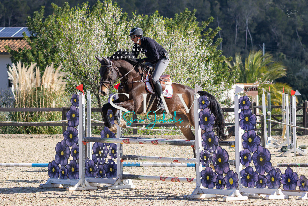 IMG_5459 | s-jay-photography - Realisiert mit Pictrs.com