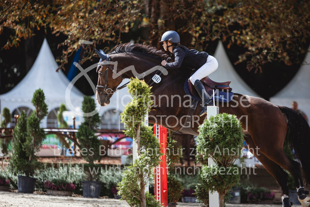 240912_OWLCh_AmateurS-297 | Deine schönsten Turniermomente als professionelle Fotos! Entdecke hochwertige Pferdesport-Fotografie im Online-Shop. Jetzt Fotos finden & bestellen!