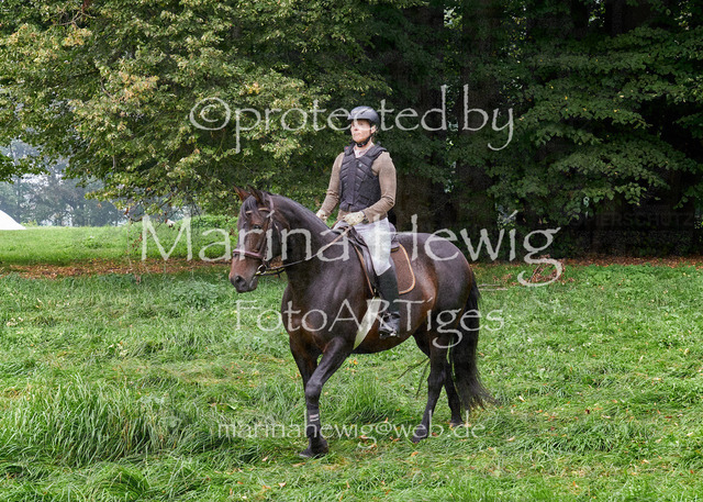 09-23 JAgd PerdölDSC01972_Marina Hewig | Fotografie, FotoArt, PferdesportArt, Pferdesportfotografie, Landschaftsfotografie, Reisefotografie, Reise, Pferde - Realisiert mit Pictrs.com