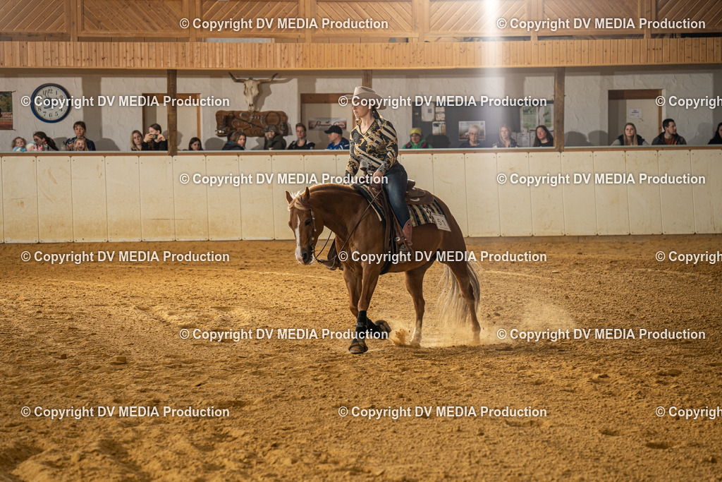 MIT01057 | dv-media-shop - Realisiert mit Pictrs.com