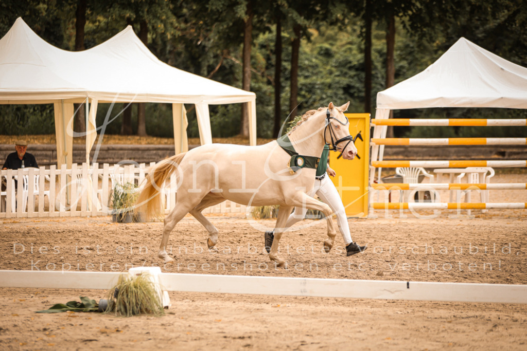 07.So00136 | Leoni Ertmer Photography - Realisiert mit Pictrs.com