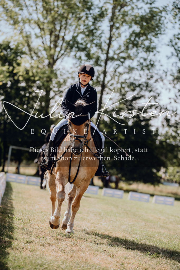 DSC_6920 | Pferde- und Turnierfotografie in Westsachsen. Pferdeportraits, Auftragszeichnungen und intuitive Kunst.