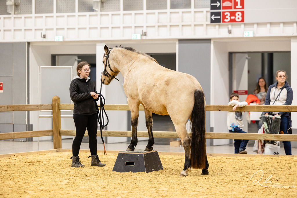 846A8970 | fotosleben - Realisiert mit Pictrs.com