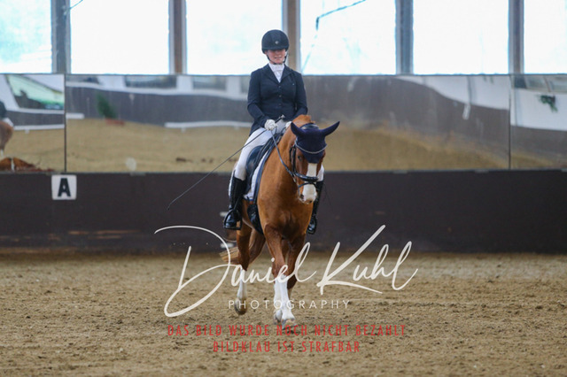 IMG_7776 | Turniersportfotografie; Pferdefotografie; Dressurfotografie