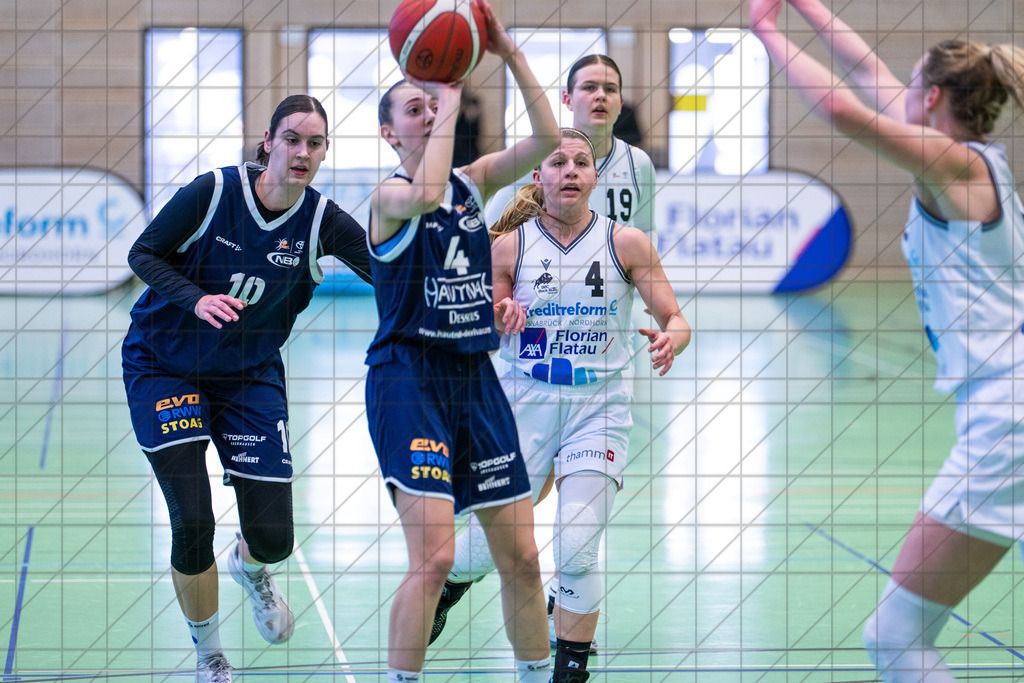 2. DBBL Nord 24/25 | 02.03.2025 | BBC OS vs. New Basket Oberhausen | 2. DBBL Nord 24/25 | 02.03.2025 | BBC OS vs. New Basket Oberhausen - - - - - CREDIT, www.bullenfotos.de, Martin König, Hörner Weg 40, D-49078 Osnabrück, +4917663732967, Nutzung und Weitergabe nur zu den vereinbarten Zwecken. Presseanfragen an Urheber. Alle Rechte beim Urheber. - - - - - - Realisiert mit Pictrs.com