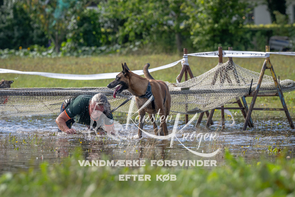 1148_ZZ91673 | kk-dogfotos