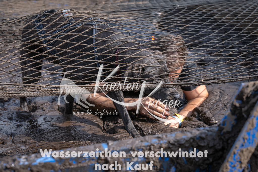 _ZZ91265 | kk-dogfotos