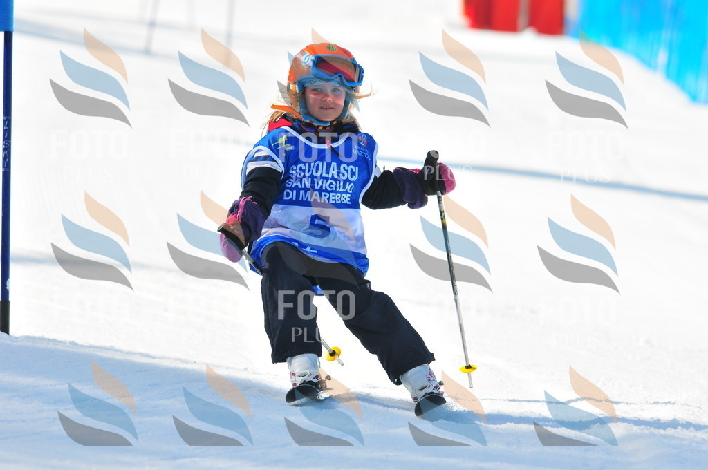 B9121 | holidayphoto