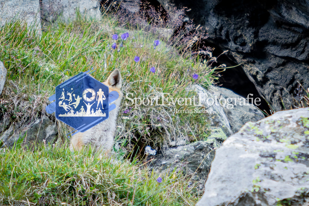 IMAG1128 | SportEventFotografie - Roman Stoiber