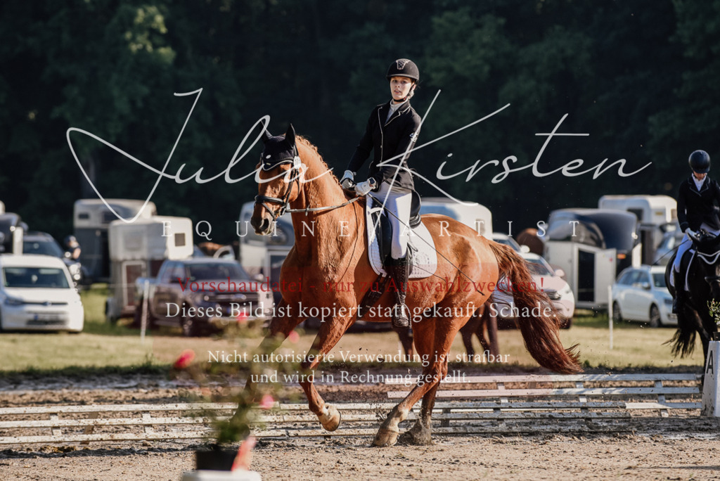 DSC_7738 | Pferde- und Turnierfotografie in Westsachsen. Pferdeportraits, Auftragszeichnungen und intuitive Kunst.