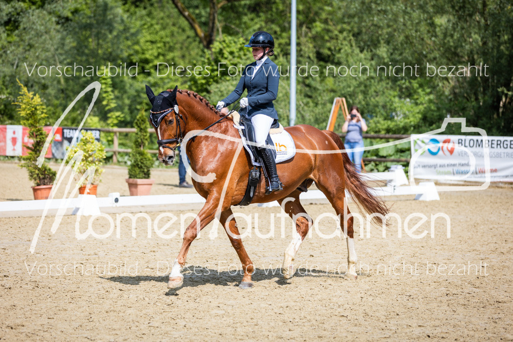 Donop24-L-Dre-025 | MomenTaufnahmen Pferdesportfotos