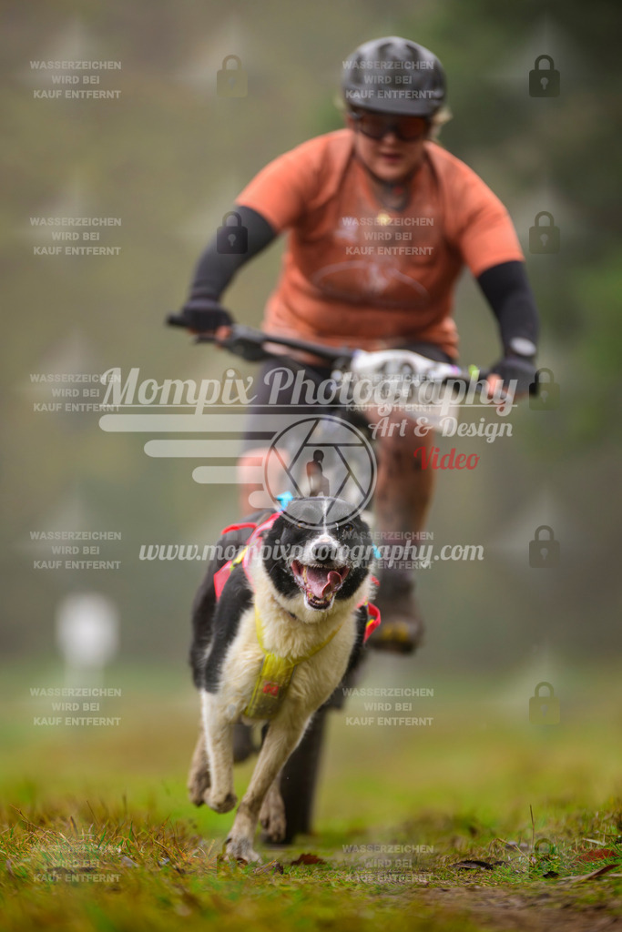 MompixPhotography_Bischwiller2025_Bike-54 | mompixphotography