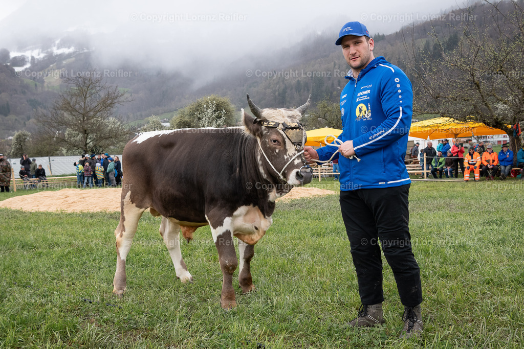 Schwingen -  Rheintal-Oberländer 2024 | Trübbach, 24.3.24, Schwingen - Rheintal-Oberländer.