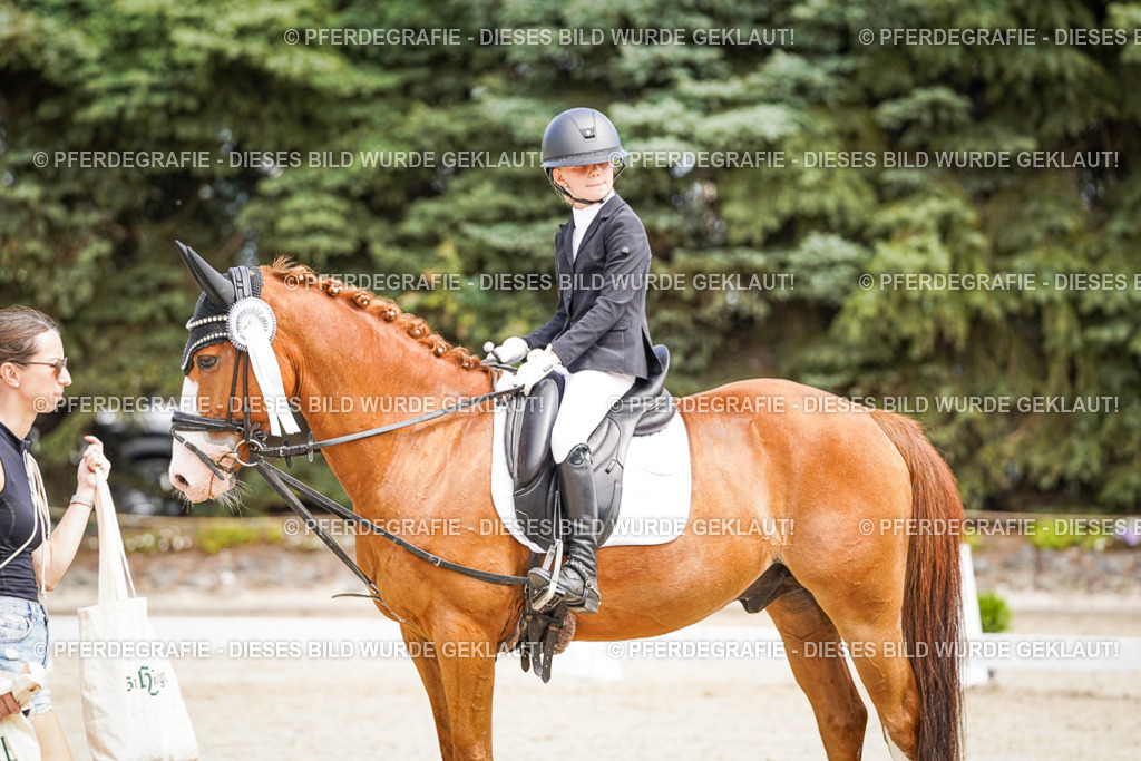 DSC02636 | Pferdegrafie