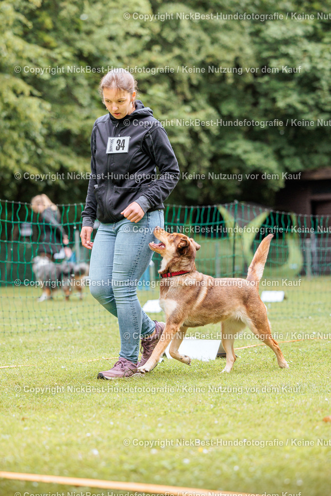 RO-Blumenthal-2026-Nickbest-Hundefotografie-2810 | Dein Hund! Dein Moment! Deine Erinnerungen! Hundefotografie in Bremen Blumenthal. Ich fange die besonderen Momente deines Vierbeiners ein – ob Indoor mit Blitzanlage oder in der freien Natur. Sicher dir dein Moment und dein Termin für eure Erinnerungen.