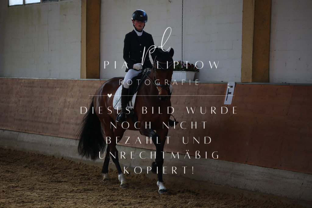 IMGT6200 | pl-fotografie