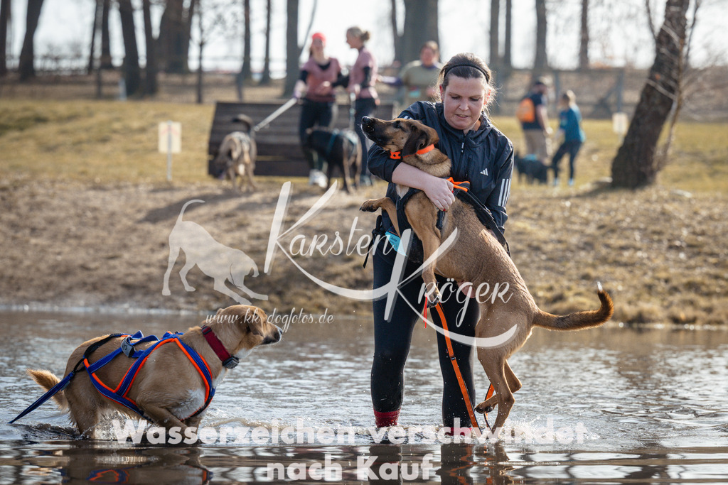 1130_ZZ94849 | kk-dogfotos