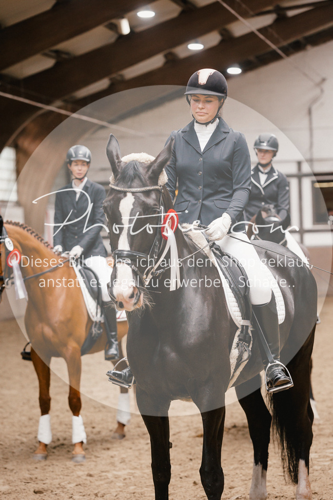 3I6A7999 | Stimmungsvolle Portraits und Reitsportfotografie im Ruhrgebiet und im Münsterland.

Pferdefotografie, Hundefotografie, Tierfotografie, Reportagen, Portraits von Tier und Mensch, Turnierfotografie in Bochum, Recklinghausen, Marl, Haltern am See, Dülmen.. - Realisiert mit Pictrs.com