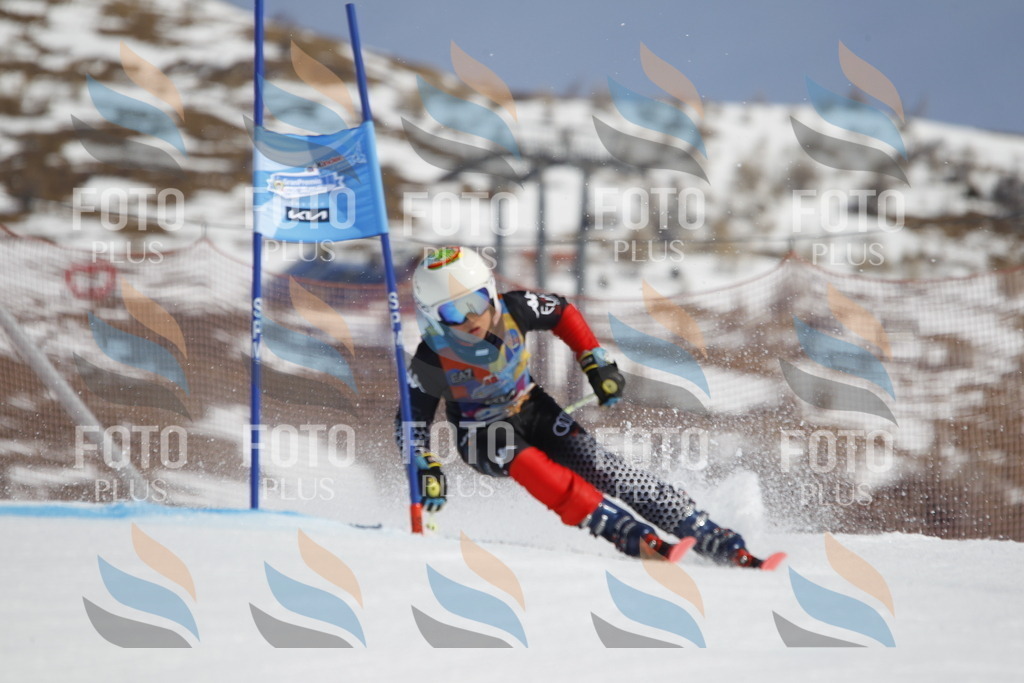 _U3G0930 | holidayphoto