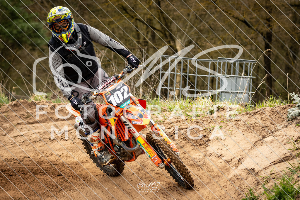 20260321-162A1231 | moni.sica.fotografie - Realisiert mit Pictrs.com