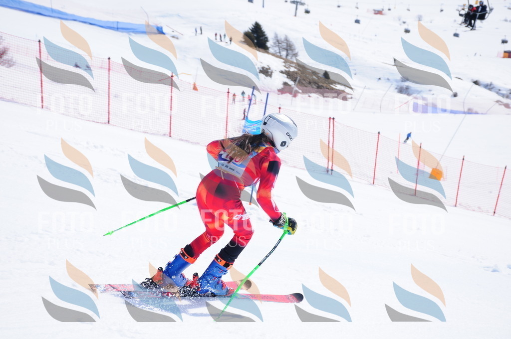 DSC_5572 | holidayphoto